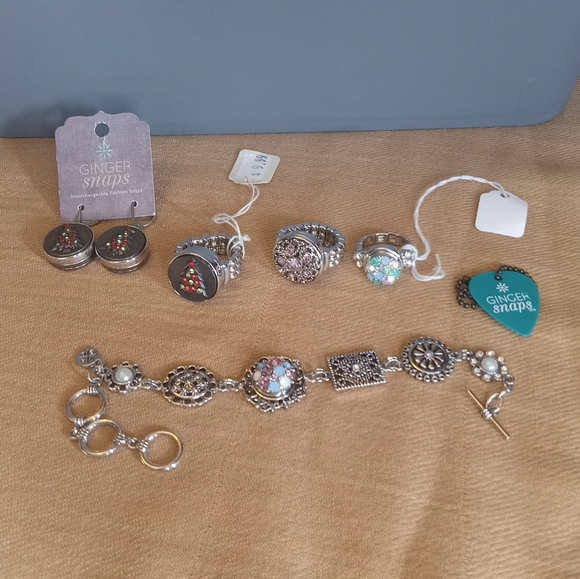 Lot of Ginger Snaps Interchangeable Fashion Snap Jewelry Set - Picture 1 of 14